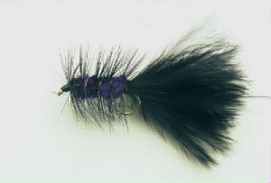 woolly-bugger-black-purple.jpg